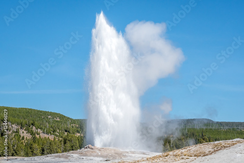 The Old Faithful erupting in Yellowstone National Park