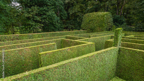 Natural hedge labyrinth maze photo