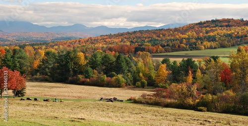 Full Autumn Colors in Vermont