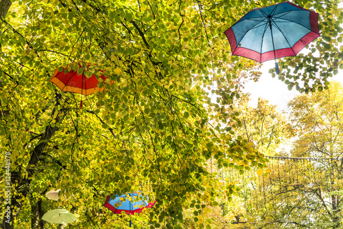 Umbrella on the trees. Autumn.
