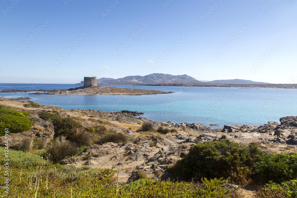 Sardinia - Stinting - La Pelosa