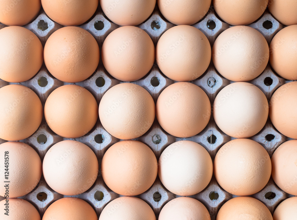 Group of fresh eggs in paper tray, reddish yellow, chicken eggs Group of fresh eggs in paper tray, reddish yellow, chicken eggs