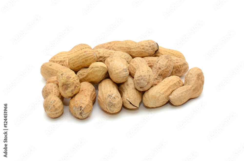 roasted in-shell peanuts isolated on the white background roasted in-shell peanuts isolated on the white background