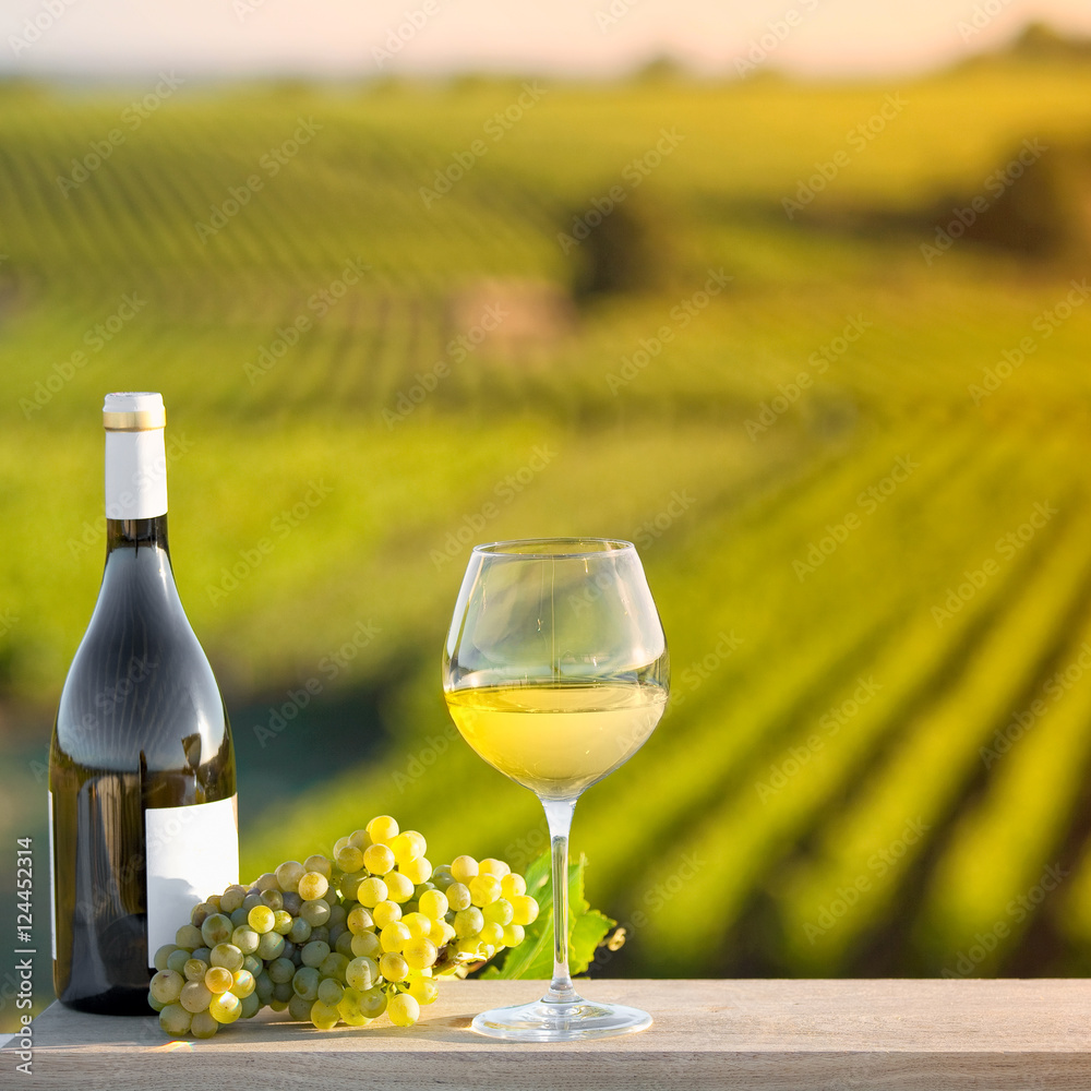 Verre de vin blanc et vigne en France