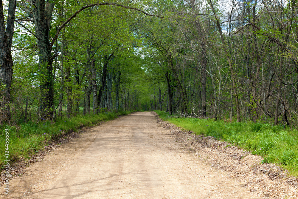 Fototapeta premium Dirt Road