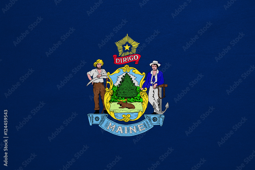 Flag of Maine real detailed fabric texture