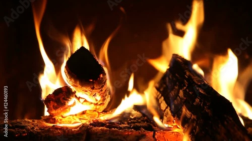Logs burning on fire