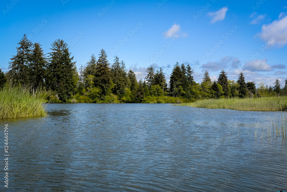 Naklejka premium Chehalis River Surge