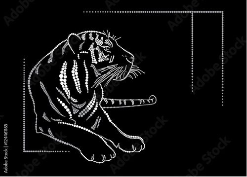Fototapeta Naklejka Na Ścianę i Meble -  White tiger