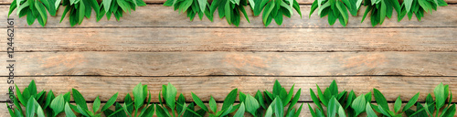 Flowers and leaves on wood texture.
