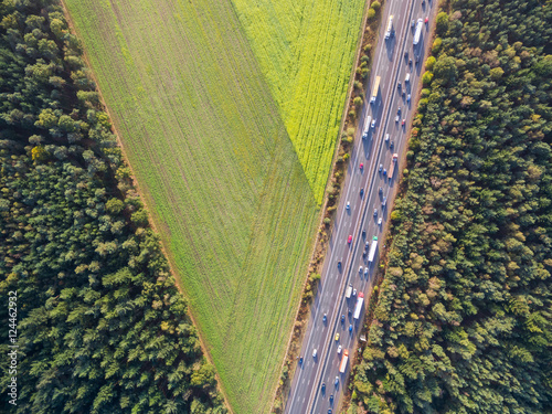 Green cultivated fields by highway in Netherlands