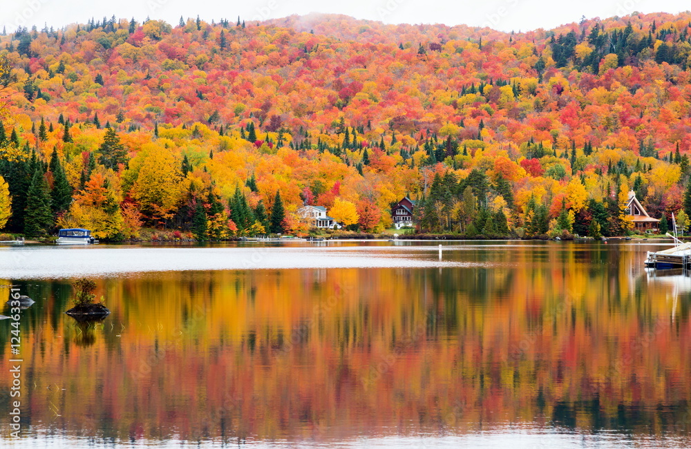 Obraz premium Autumn beginning to take affect on cottage country in the Quebec north. Trees turning blood red before the winter onslaught.