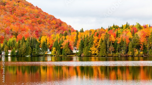 Autumn beginning to take affect on cottage country in the Quebec north. Trees turning blood red before the winter onslaught. photo