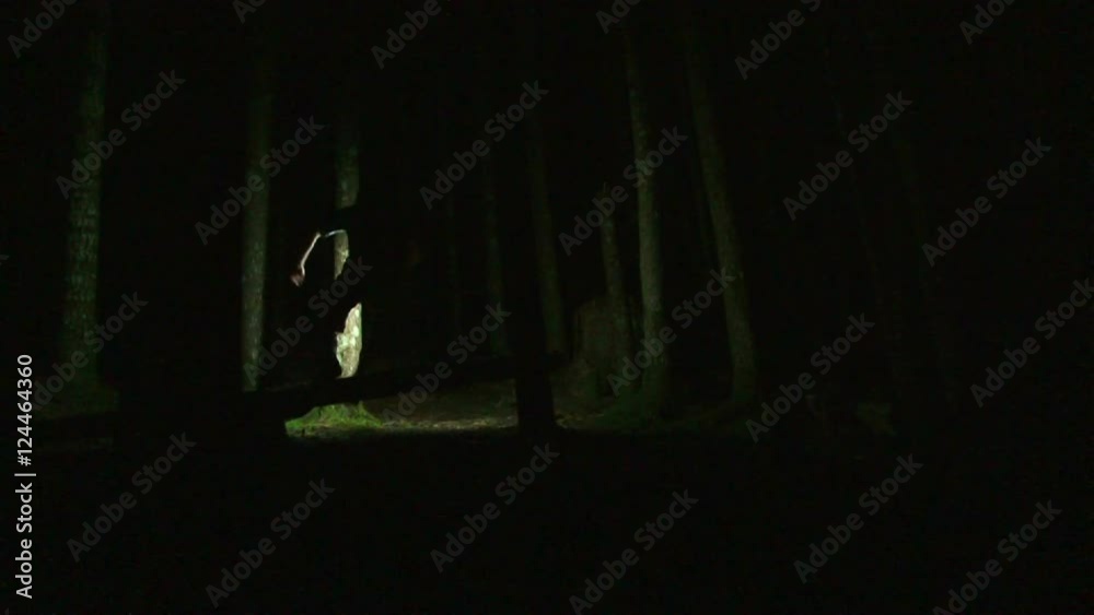 Person running into dark forest at night with lantern.