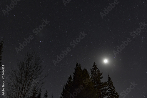 Moon, Stars and Pines © David Farnsworth