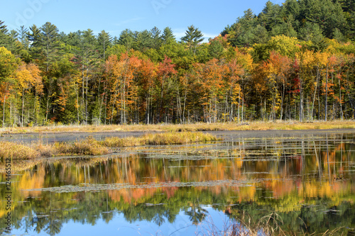 Fototapeta Naklejka Na Ścianę i Meble -  Fall foliage and reflections in Plymouth, New Hampshire.