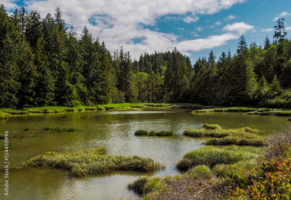 Pacific Northwest Nature Pacific Northwest Nature