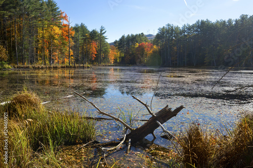 Bright fall foliage along shore of open waters of Quincy Bog in Plymouth, New Hampshire. photo