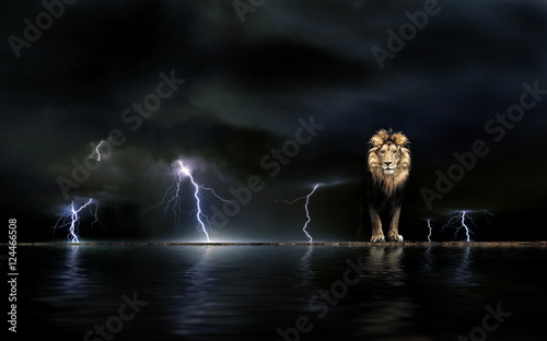 Thunderstorm Portrait of a Beautiful lion, lion in the dark
