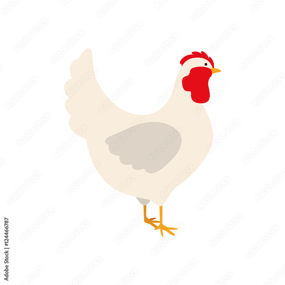 silhouette color with white chicken vector illustration