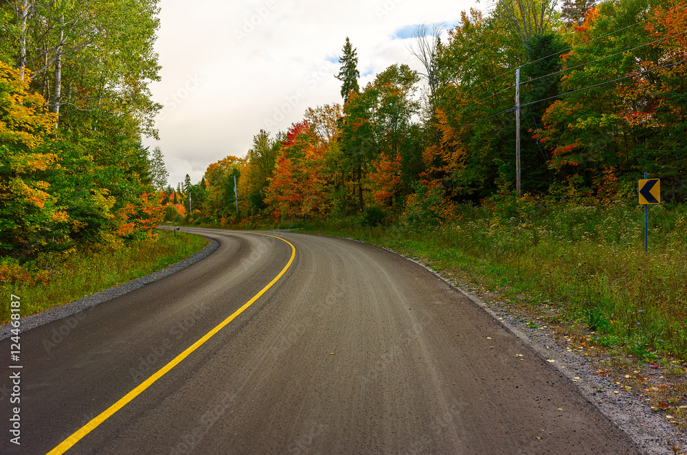 Colorful trees along a country road in northern Ontario.