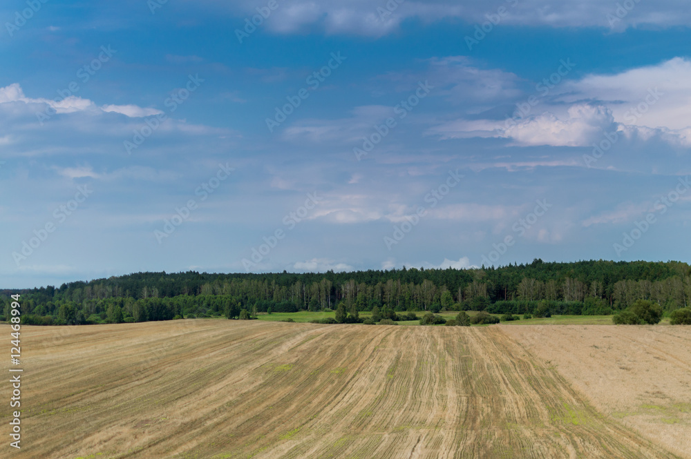 Plowed field in late summer time with trees behind and blue sky Plowed field in late summer time with trees behind and blue sky