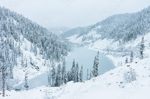 Beautiful taiga hills on Far East of Russia in early october. Taiga in winter. Beautiful nature. Snowy weather.