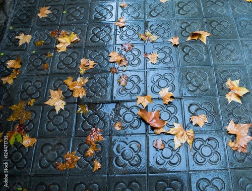 Canvas Print Autumn In Barcelona