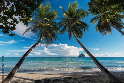 Fototapeta Naklejka Na Ścianę i Meble -  Martinique, la plage du Diamant