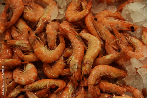 Cooked shrimp .