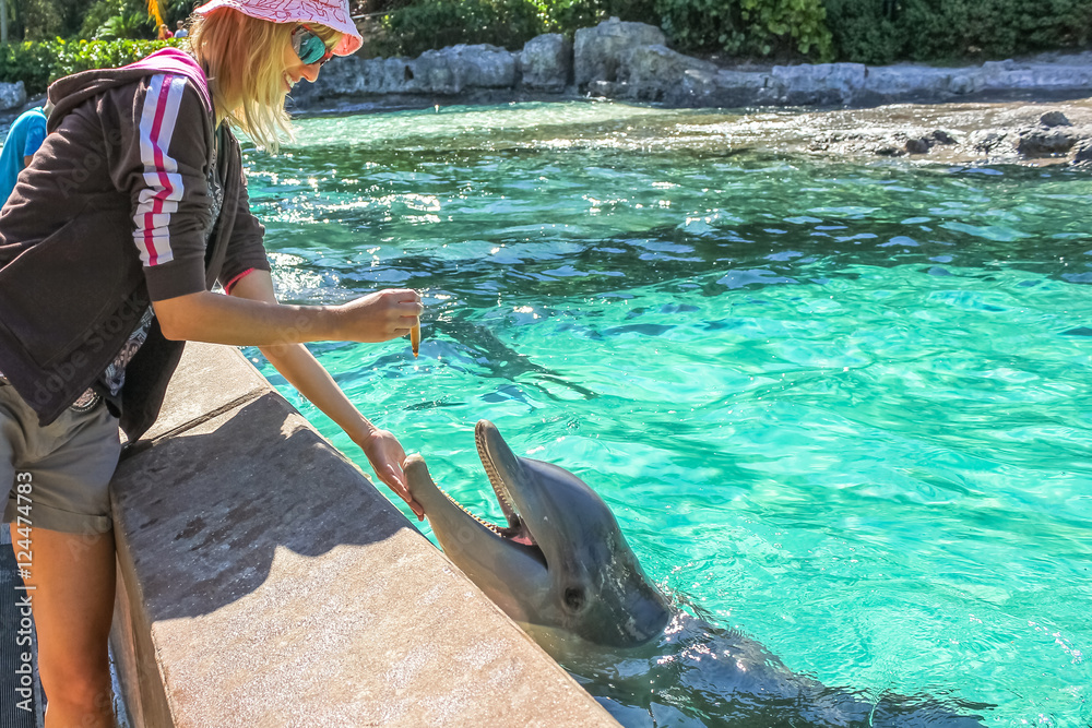 Naklejka premium Smiling woman feeds a dolphin in a water.