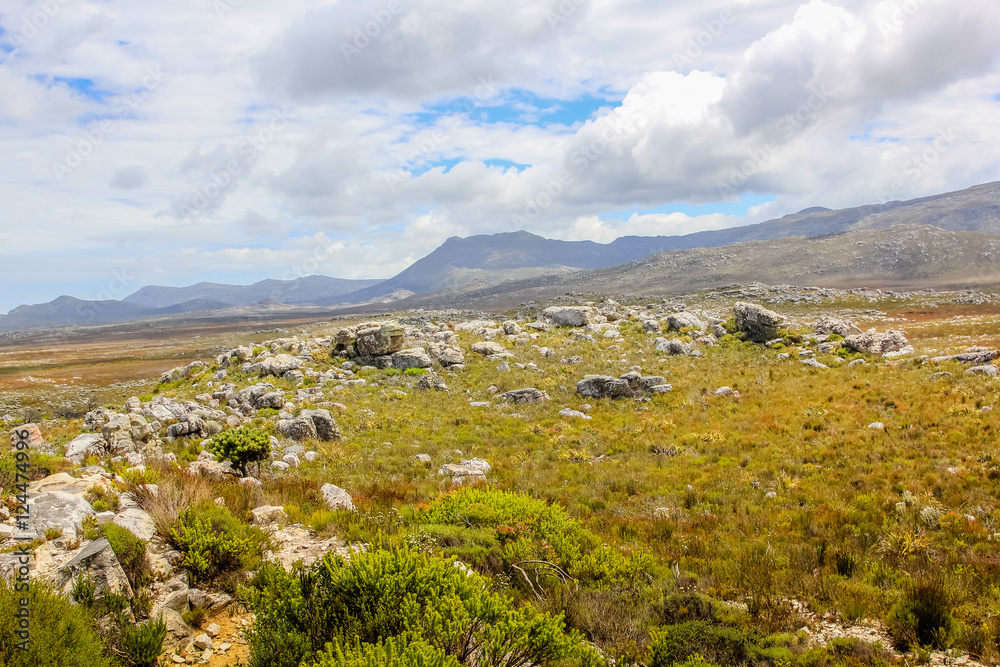 Landscape of Cape of Good Hope Natural Reserve in Cape Peninsula. The Cape of Good Hope is a section of Table Mountain National Park the top tourist destinations in South Africa.