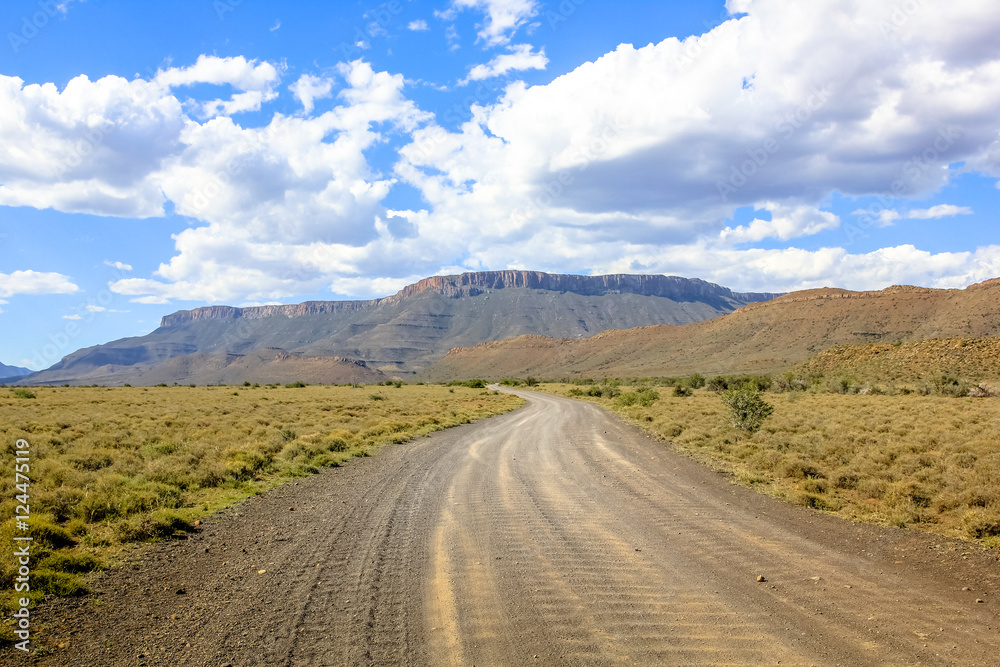 Dirt road in cloudy sky, Karoo National Park in the summer, Western Cape province of South Africa.