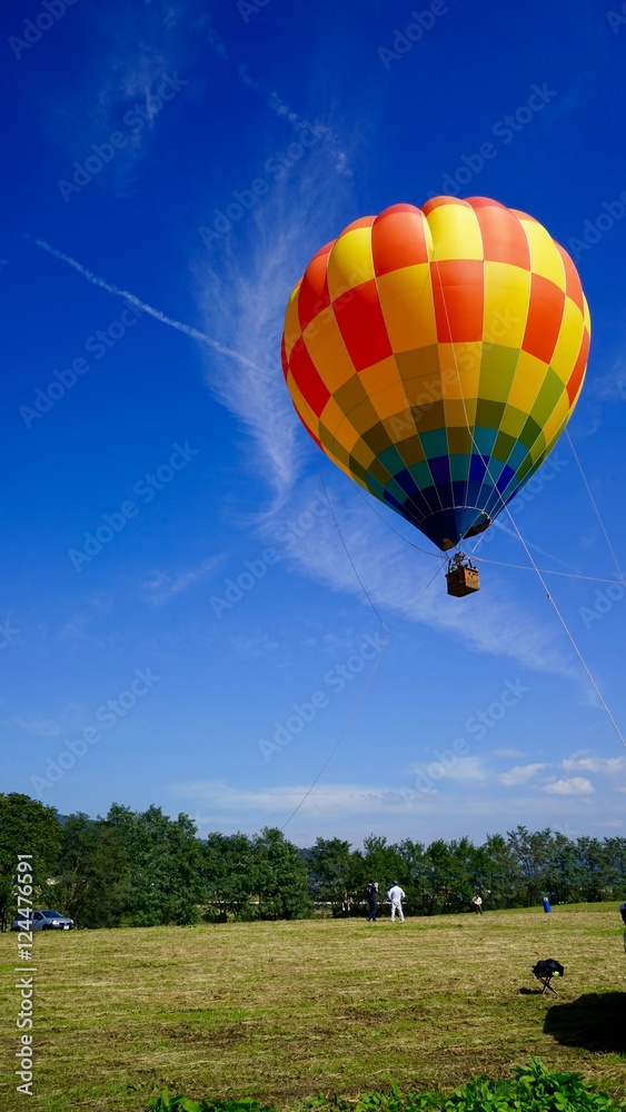 Obraz premium よく晴れた空と熱気球