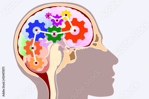 Wallpaper Mural human brain Concept  Torontodigital.ca