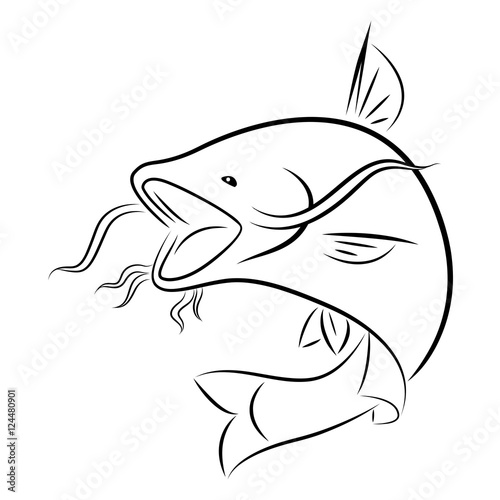 graphic catfish, vector