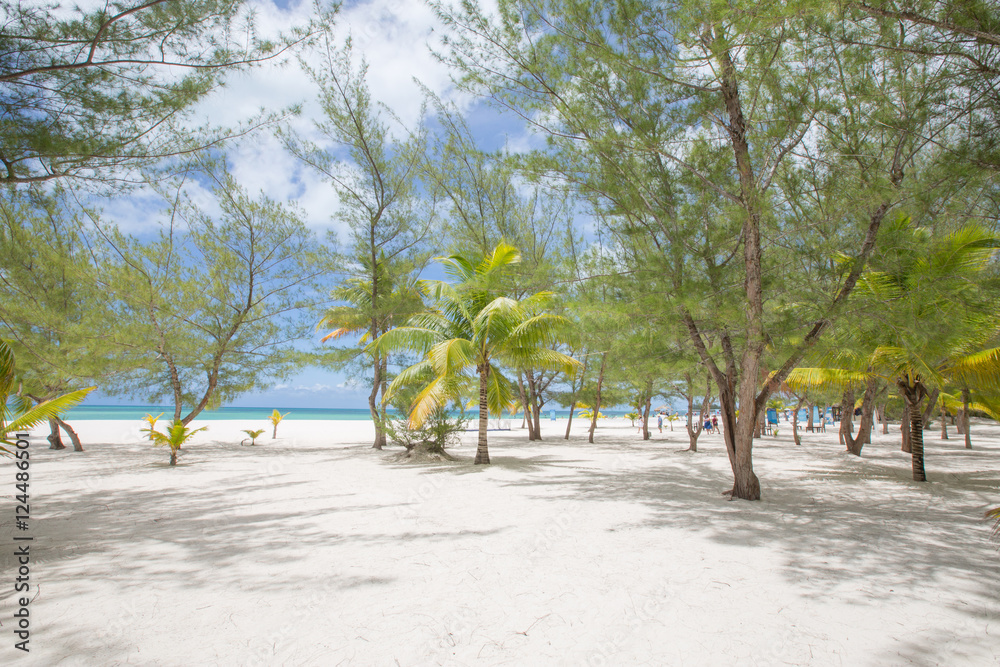 Tropical beach Tropical beach