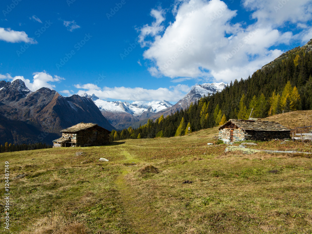 Alpeggio - Autunno in montagna (Valmalenco)