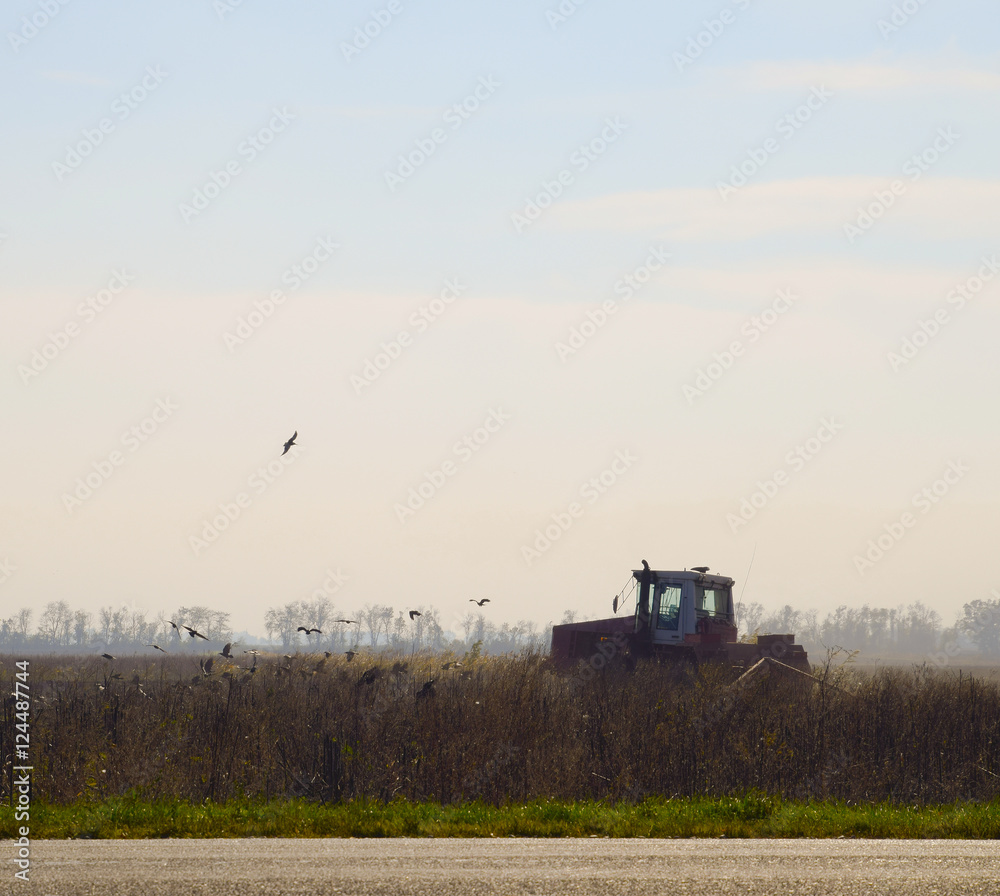 Tractor plowing a field and crows flying around him in search of food Tractor plowing a field and crows flying around him in search of food