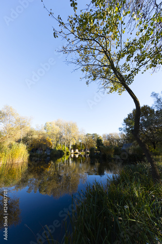 lake in the forest in autumn