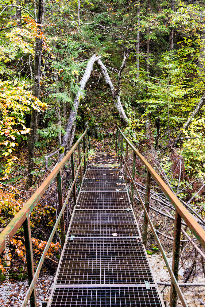 Obraz premium Diminishing perspective of metal suspension footbridge over rive