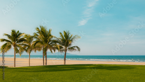 Coconut beachs © SMITHICHOT