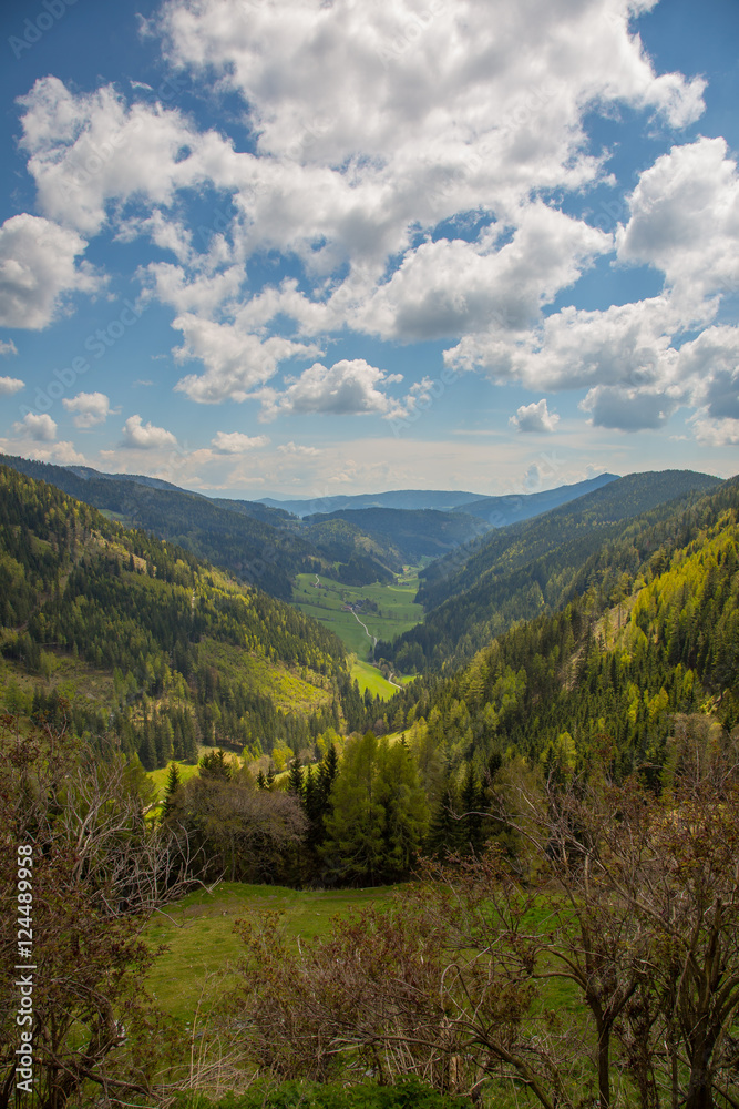 Obraz premium Wanderung im Metnitztal
