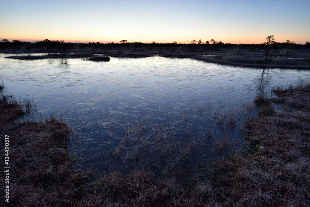 Bog at dawn, bog before sunrise, frozen bog pool. Bog at dawn, bog before sunrise, frozen bog pool.