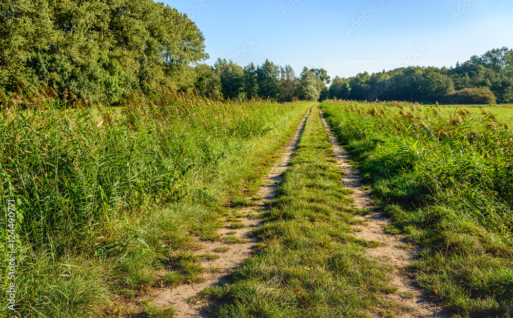 Wheel tracks in a rural area on an early autumn morning