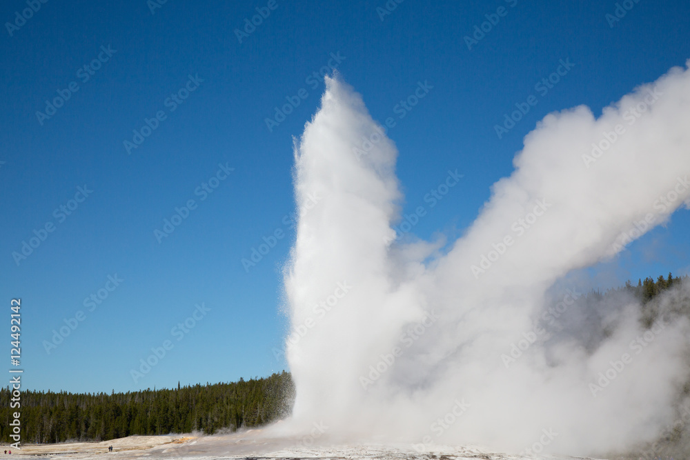 Geyser