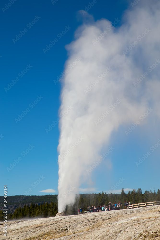 Geyser Geyser