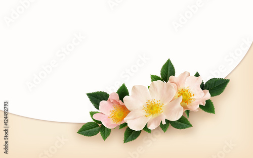 Briar flowers background