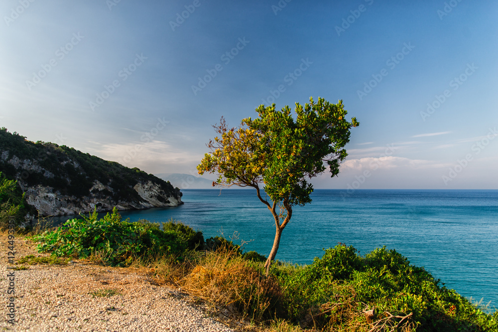 View at zakynthos island