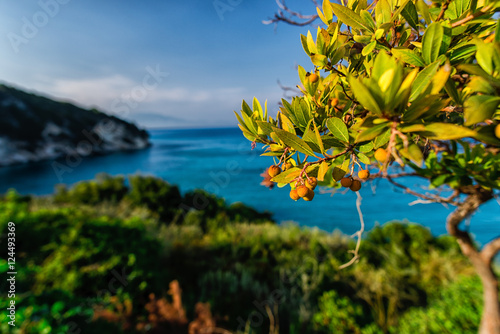 View at Zakynthos island